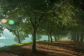 Picture1